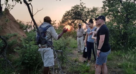 Best of Limpopo: Traditions, Nature and Safari Adventure