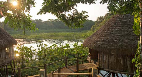 Kapawi Lodge: Scopri il Delfino Rosa