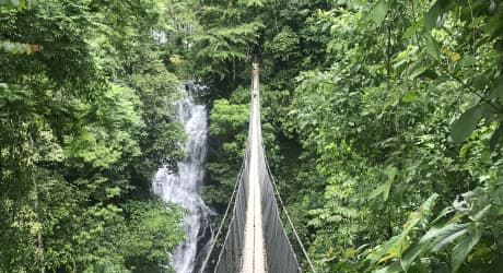 Caribbean Rainforests, Volcanoes & the Pacific Coast
