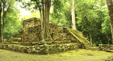 Rovine di Muyil e Fluttuazione nei Canali Maya di Sian Ka'an