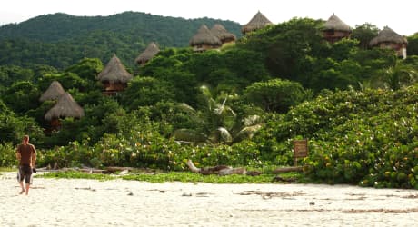 Esplora il Caffè e la Natura Colombiana