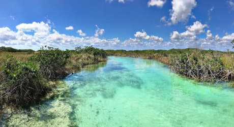 Fauna & Natura della Riviera Maya
