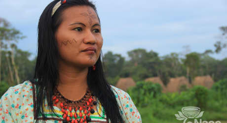 Sumak Kausay - Amazon Ecolodge e Esperienza Culturale Kichwa