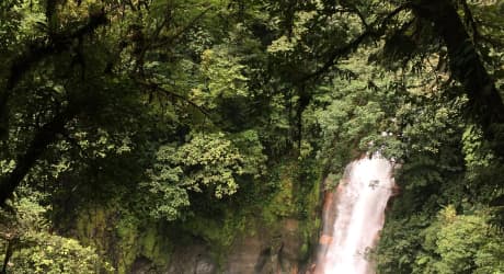 Unexplored forests, Rural Communities & Volcanoes