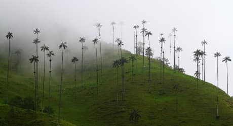 Classic Colombia: From Bogota to Cartagena