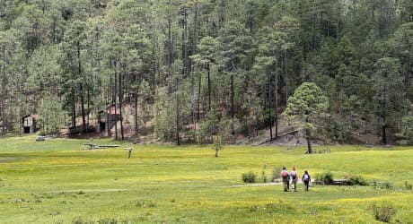 Senderos Zapotecas