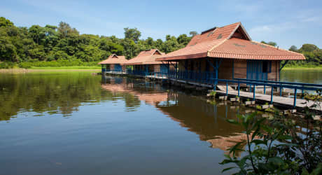 Esperienza di Osservazione Uccelli in Amazzonia e Lodge Galleggiante
