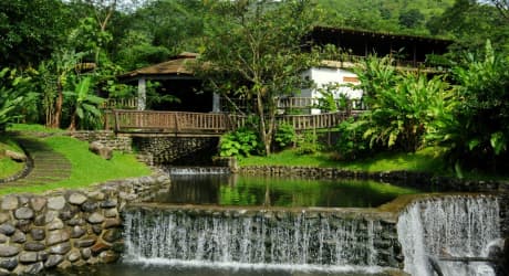 Rancho Margot