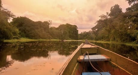 Amazzonia Colombiana: Giungla, Paesaggi e Comunità Locali