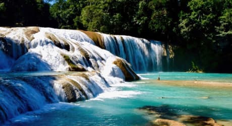 Wildlife & Nature through Chiapas
