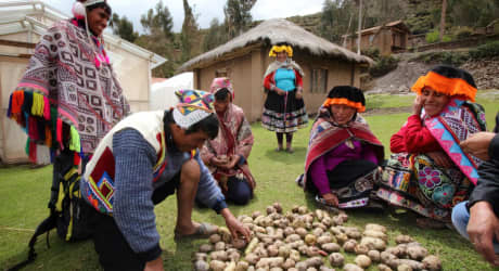 Visita Parque de Papa, Rovine di Pisac e Artigiani Locali