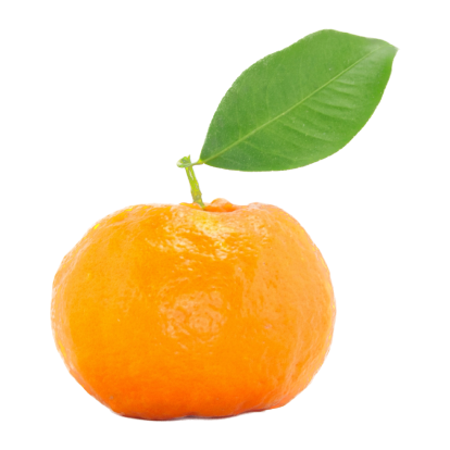 Orange real