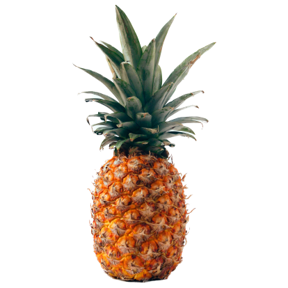 Pineapple real