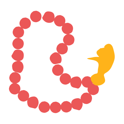 Lacing Beads