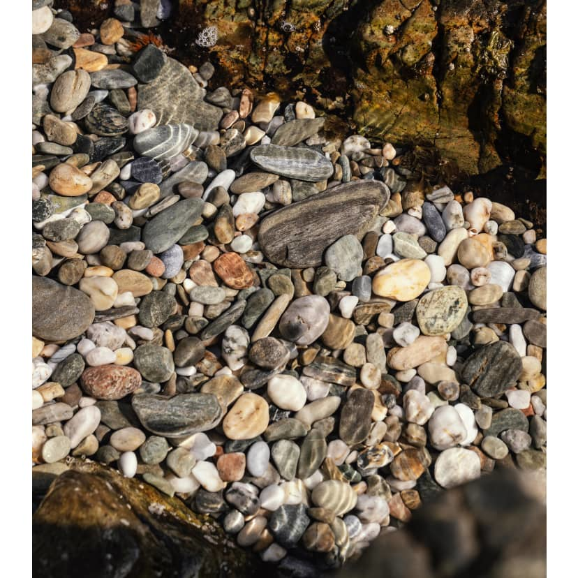 Rocks, Fossils and Geodes