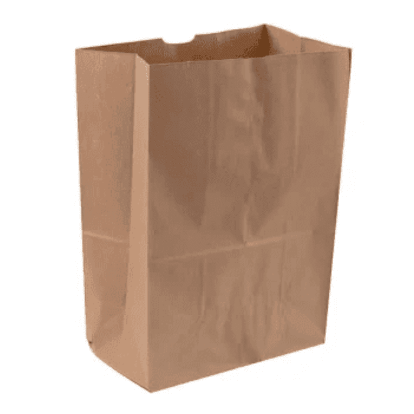 Large Brown Paper Grocery Bag