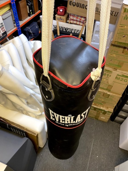 2: Everlast Boxing Punchbag