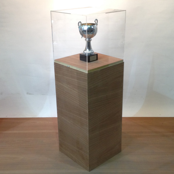 2: Walnut Plinth With Clear Perspex Cube Top