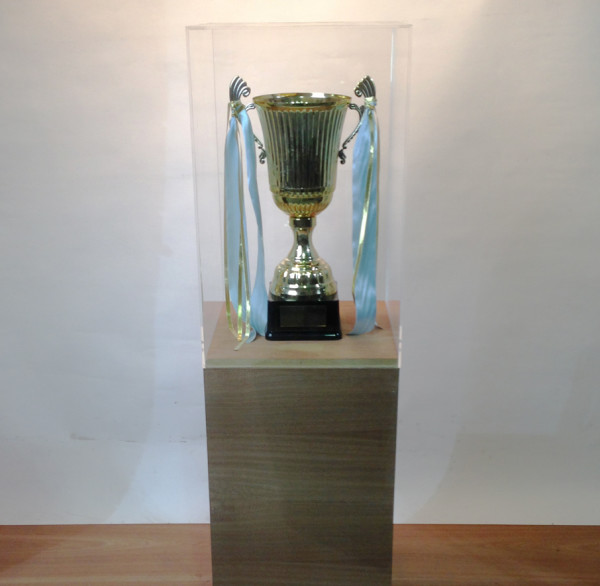 1: Walnut Plinth With Clear Perspex Top