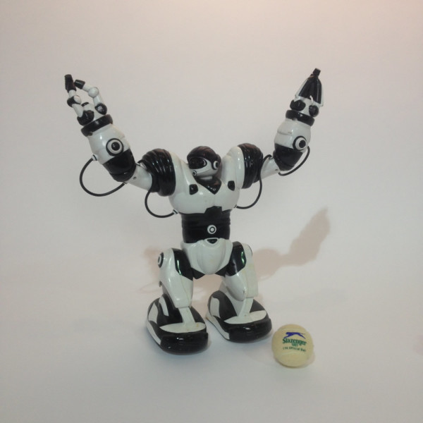 4: Toy Robot