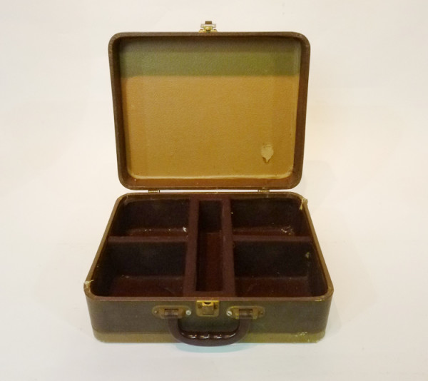 4: Mustard Coloured Hard Shell Case
