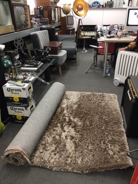 2: Shag Pile Rug