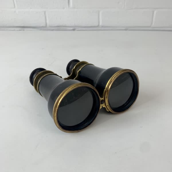 4: Vintage Binoculars