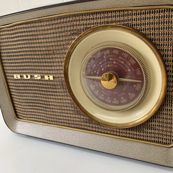 4: Bush Radio (Non Practical)