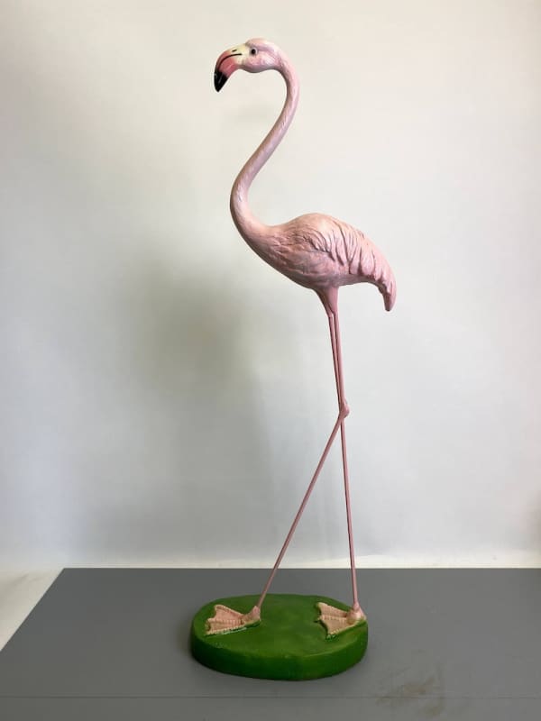 5: Flamingo