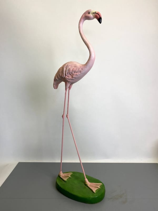 5: Flamingo