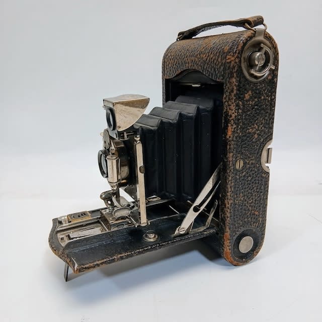 6: Vintage Bellows Camera