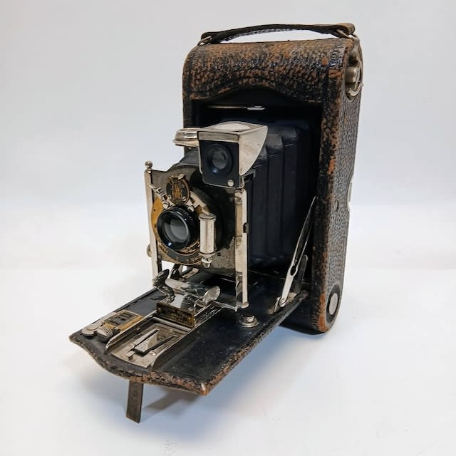 6: Vintage Bellows Camera