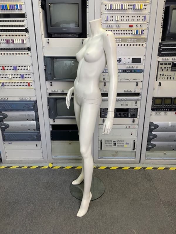 5: Gloss Female Headless Mannequin