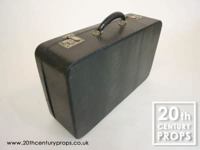 Green Snake Print Vintage Travel Case