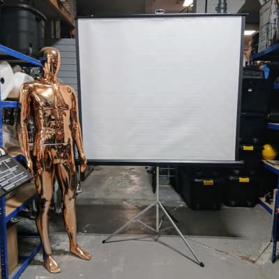 Quartet Front Projection Screen (77