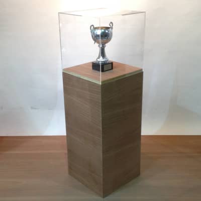 Walnut Plinth With Clear Perspex Cube Top