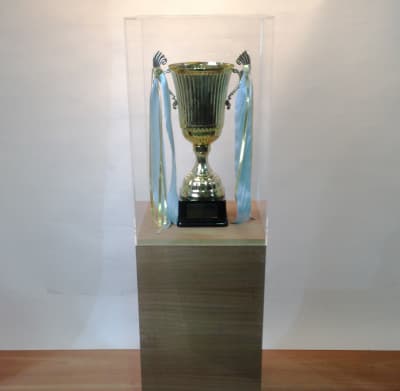 Walnut Plinth With Clear Perspex Top