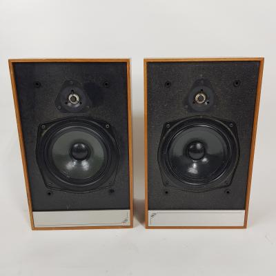 Fully Working Wooden Speaker