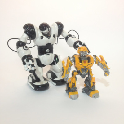 Toy Robot