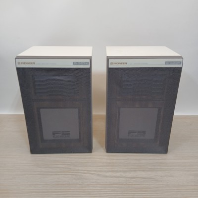 Pioneer Speaker (Non Practical)