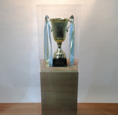 Walnut Plinth With Clear Perspex Top