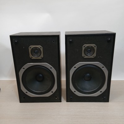 Pioneer Black Speaker (Non Practical)