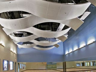Specialty Ceilings