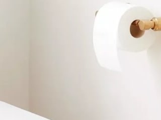 Standard Toilets