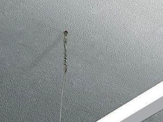 Suspended Ceilings