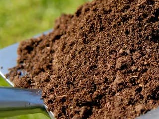 Topsoil