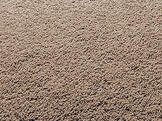 Carpet