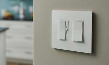 Switches and Dimmers