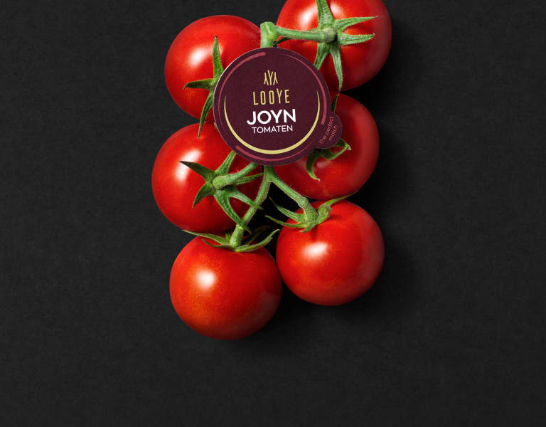 Looye Joyn tomaten