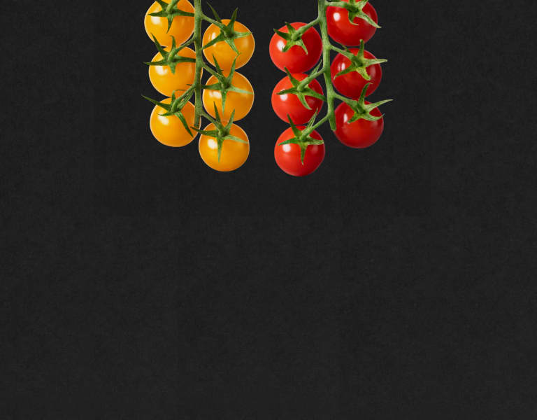 Looye Sweetest Selection. Twee kleuren. Twee karakters. Eén zoete verleiding.